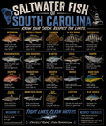 Saltwater Fishing in South Carolina